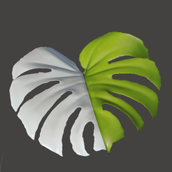 Screenshot-2023-04-04-at-12.10.57-PM.png OBJ file Monstera Leaf Variegated Albo・3D print object to download