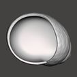 002.jpg Shell Planter