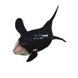 144.jpg ORCA Killer Whale Dolphin FISH sea CREATURE 3D ANIMATED RIGGED MODEL