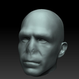 head.png Voldemort's Head (Remixed)