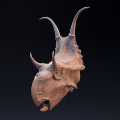 Diabloceratops_head_1.jpg Télécharger fichier STL Tête de Diabloceratops • Plan à imprimer en 3D, Nikola_Roglic