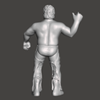 Screenshot-1075.png WWE WWF LJN Style Terry Funk Figure