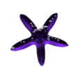 Starfish-Magnet.stl Free STL file Sea Life Refrigerator / Whiteboard Magnets・3D printing template to download, ToaKamate