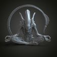 untitled.259.jpg alien yoga 3d print model V2