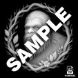 Samp.jpg BigFoot Relief High Detail 3D Model: CNC Laser & 3D Print STL File + 4K TIF Grayscale Image