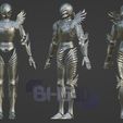 Picsart_23-07-23_07-31-29-253.jpg Griffith Reincarnation Set Armor 3D STL File