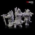 C1.jpg Janissaries - Squad of the Imperial Force