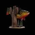 peacock-bass-trophy-natural-2-2-5.png Peacock bass (Cichla ocellaris) fish trophy in motion sculpture 2 underwater detailed texture for 3d printing
