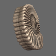 04.png Giant ammonites