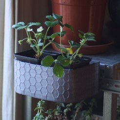 Capture d’écran 2018-04-24 à 15.55.27.png STL-Datei honeycomb planter #3 kostenlos・Objekt zum Herunterladen und Drucken in 3D