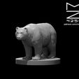 Black_Bear_ad.JPG Misc. Creatures for Tabletop Gaming Collection