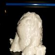 Everest (Easy print no support)
