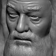 19.jpg Dumbledore from Harry Potter bust 3D printing ready stl obj