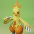 combusken-1.jpg pokemon torchic evolution pack