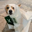 Ein-Excel2.jpg Excel Sheet costume