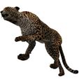 H.jpg DOWNLOAD Cheetah 3d model - animated for blender-fbx-unity-maya-unreal-c4d-3ds max - 3D printing Cheetah - LEOPARD - RAPTOR - PREDATOR - CAT - FELINE