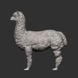 alpaca8.jpg alpaga