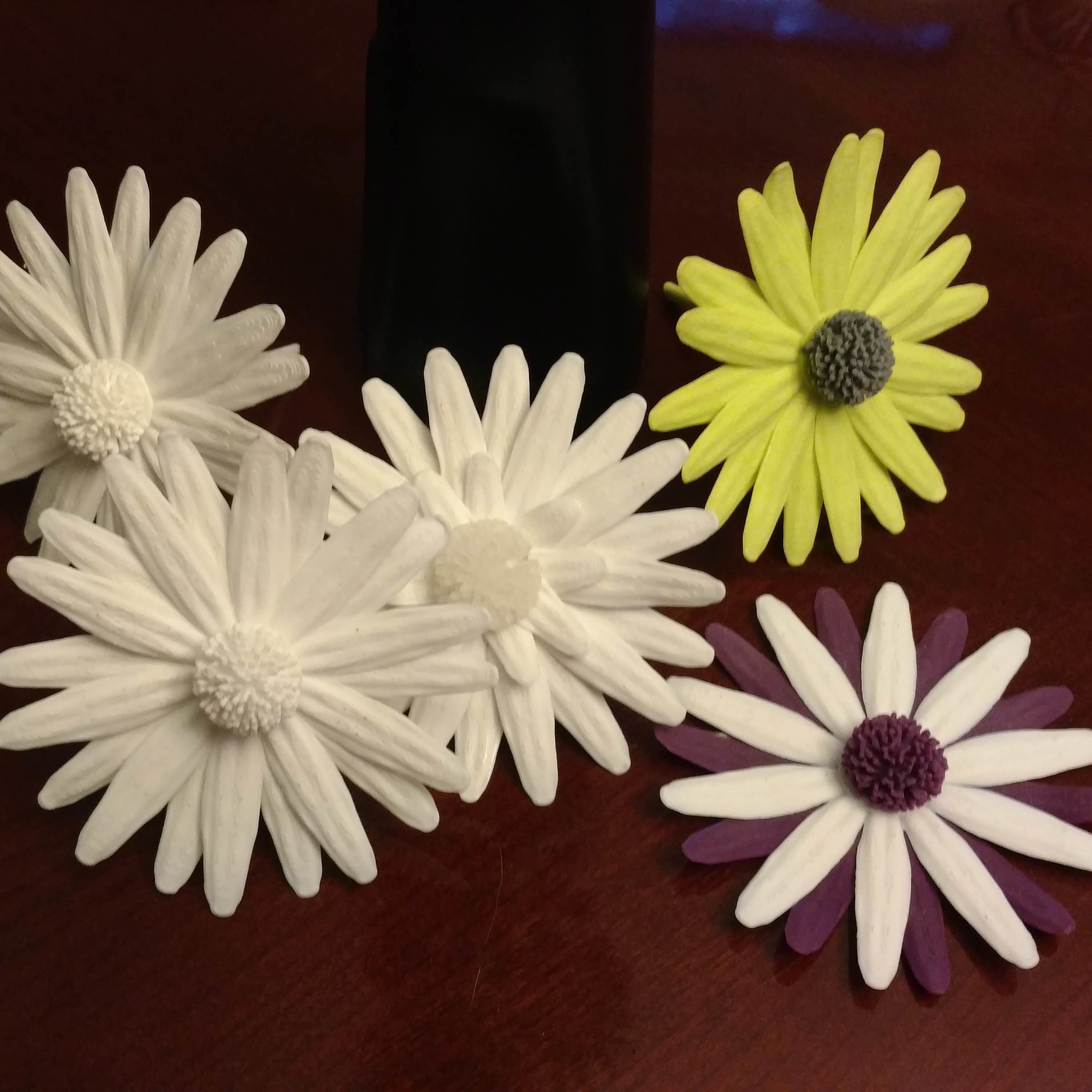 2.jpg Archivo STL gratis Daisy - flor plana・Objeto imprimible en 3D para descargar, mag-net