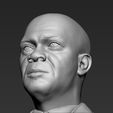 17.jpg Samuel L Jackson bust 3D printing ready stl obj formats