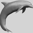 27_TDA0613_Dolphin_03A07.png Dolphin 03