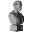 24.jpg 3D PRINTABLE COLLECTION BUSTS 9 CHARACTERS 12 MODELS