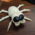 IMG_20230920_201810.jpg Adorable Cute Flexi Baby Spider - Print in Place