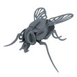 03.png Fly Mosca