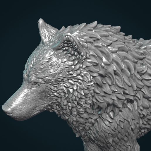 Wolf_IIIx-24.jpg Wolf IV