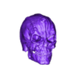 Dukat_Skull.stl Cardassian Skull
