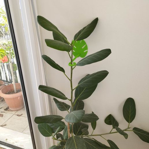 319789570_920830885491666_2475811685803194839_n-1.jpg Base da planta