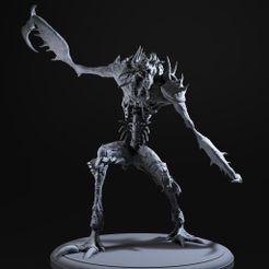 003.jpg DesertBug