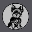 yorkie-litho-09.jpg Yorkie Lithopane 9