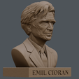 Emil-Cioran-8.png Бюст Эмиля Киорана с печатью
