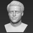 2.jpg Joey Tribbiani from Friends bust 3D printing ready stl obj formats