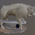 DF891A73-15A9-4CD7-AD99-ECFCAA4FD1C1.png Dog on skateboard