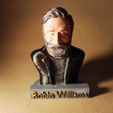 RobinWilliams1.jpg Robin Williams Bust