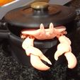 DSC_0255-1.jpg Cute Articulated Crab & Cooking Pot