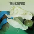 multirex_olive2.jpg multi-rex