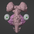 5.png 3D Model of Brain Stem and Cranial Nerves