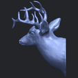 11_TDA0615_Deer_HeadB01.png Hirschkopf