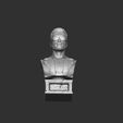 11.jpg Arnold T-800 bust with glasses for 3d print stl .2 options