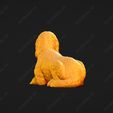 1076-Basset_Griffon_Vendeen_Petit_Pose_09.jpg Basset Griffon Vendeen Petit Dog 3D Print Model Pose 09