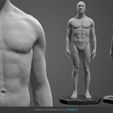 a0.jpg Male Anatomy Statue