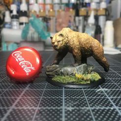 IMG_6083.JPG Grizzly 28mm