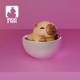 6.jpg Capybara Kaffee / Capybara Kaffee #001