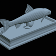 Gudgeon-statue-34.png fish gudgeon / gobio gobio statue detailed texture for 3d printing