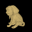 model-6.png Dog set - Pack of 3 DOGS- DOGS PACK - YORKIE POODLE