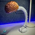 pp1.jpg Articulated Spine-Brain