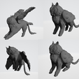 Owlkitty_Poses.png OwlKitty - Coruja Gryphon
