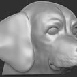 6.jpg Puppy of Pointer dog head for 3D printing
